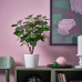 Искусственное растение IKEA FEJKA, Аралия, 12 см